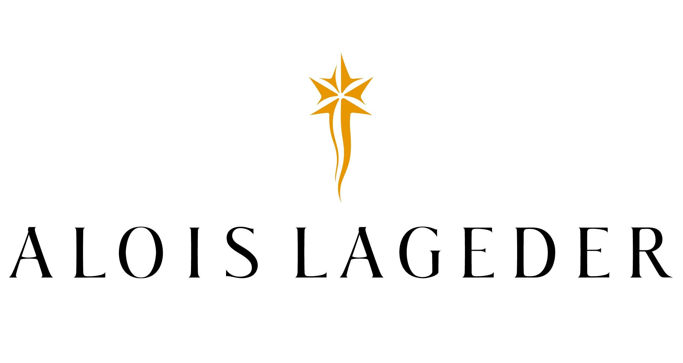 Alois Lageder Logo in Schwarz und Gold - Vorderansicht