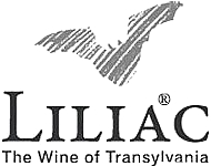 Liliac Logo Schwarz - Vorderansicht