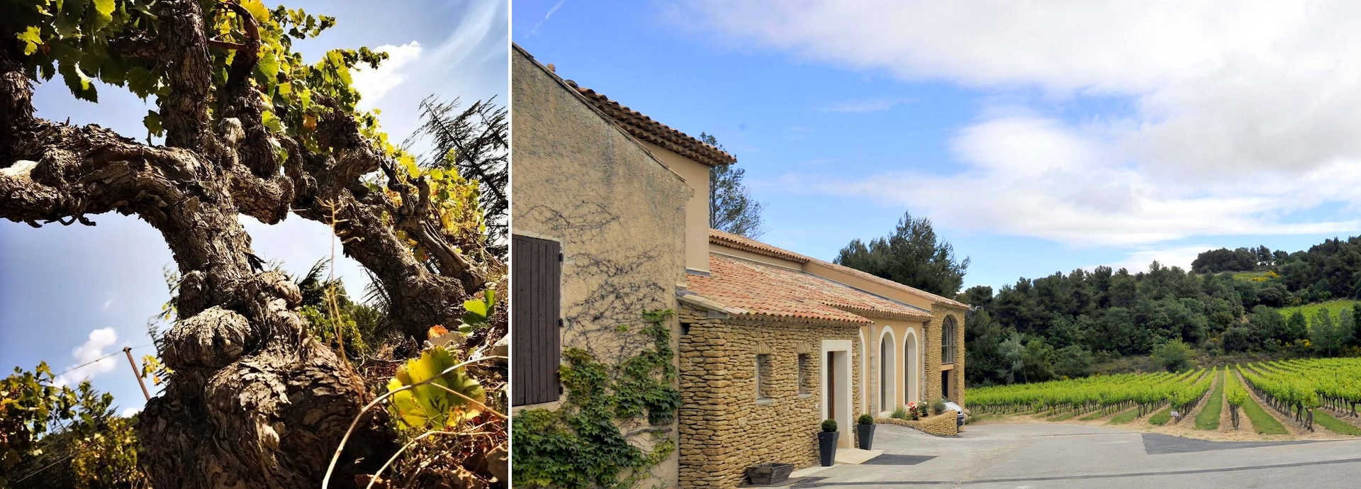 Domaine des Bosquets
