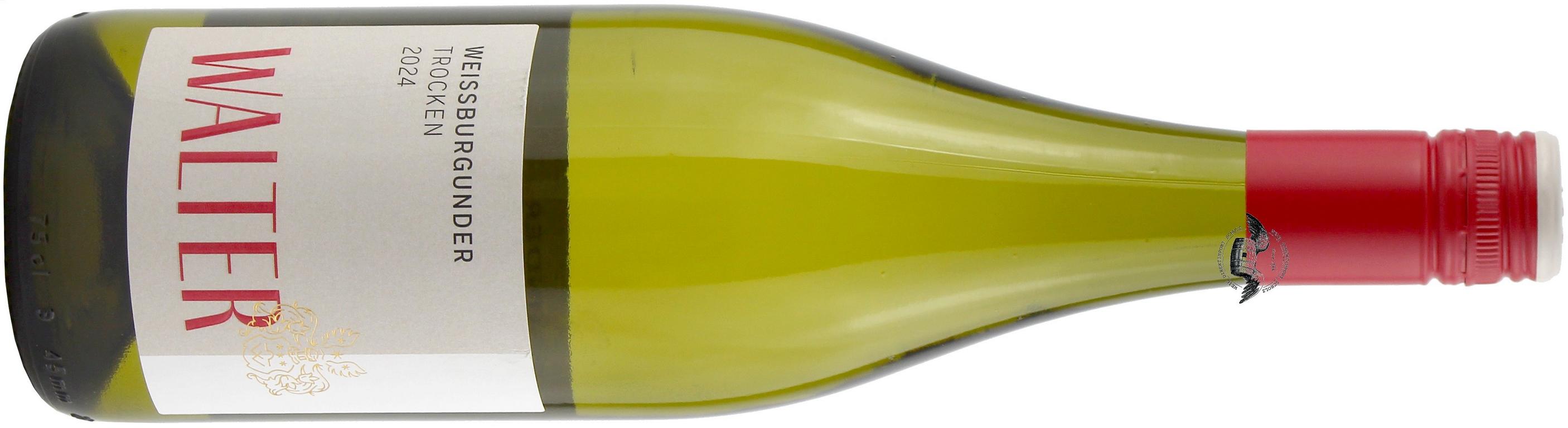 2024 Weißburgunder trocken von Weingut Walter in Hellgrün - Vorderansicht