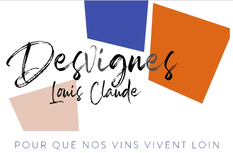 Desvignes Logo in Blau, Orange und Beige - Vorderansicht
