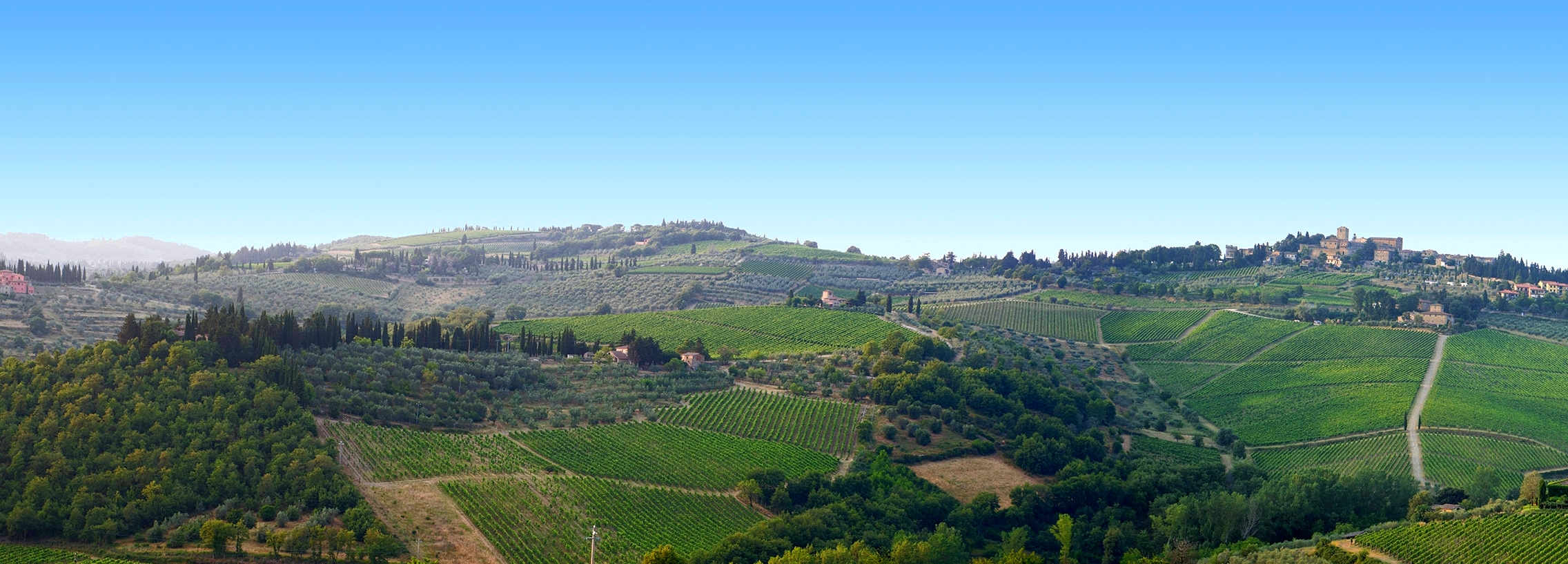 Az. Agr. Fontodi