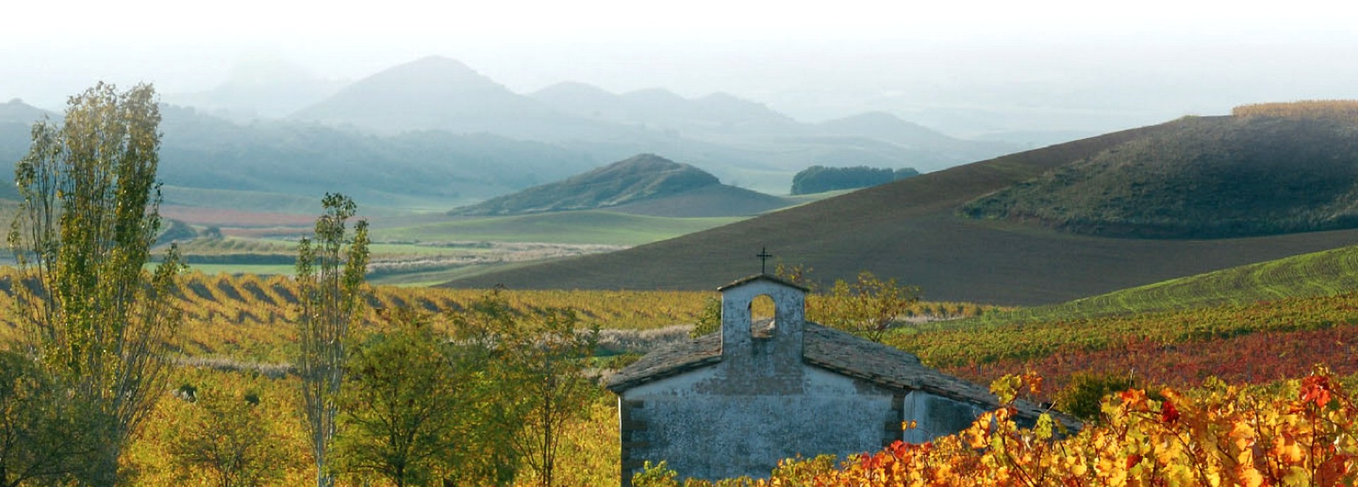Bodegas Nekeas