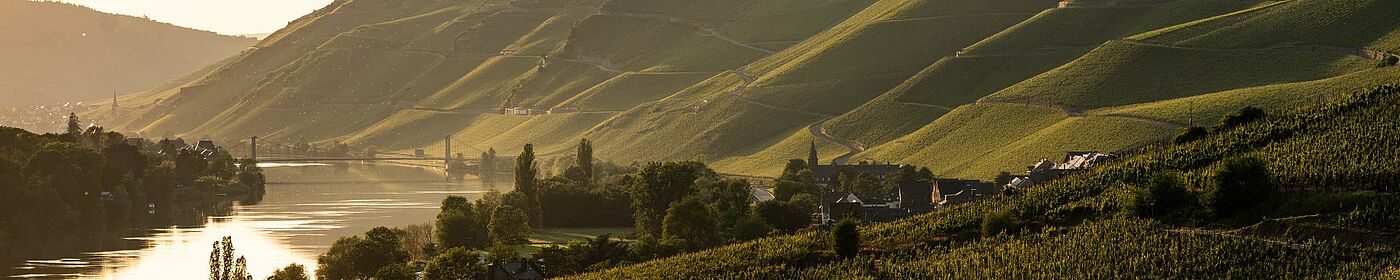 Wein-aus-Deutschland