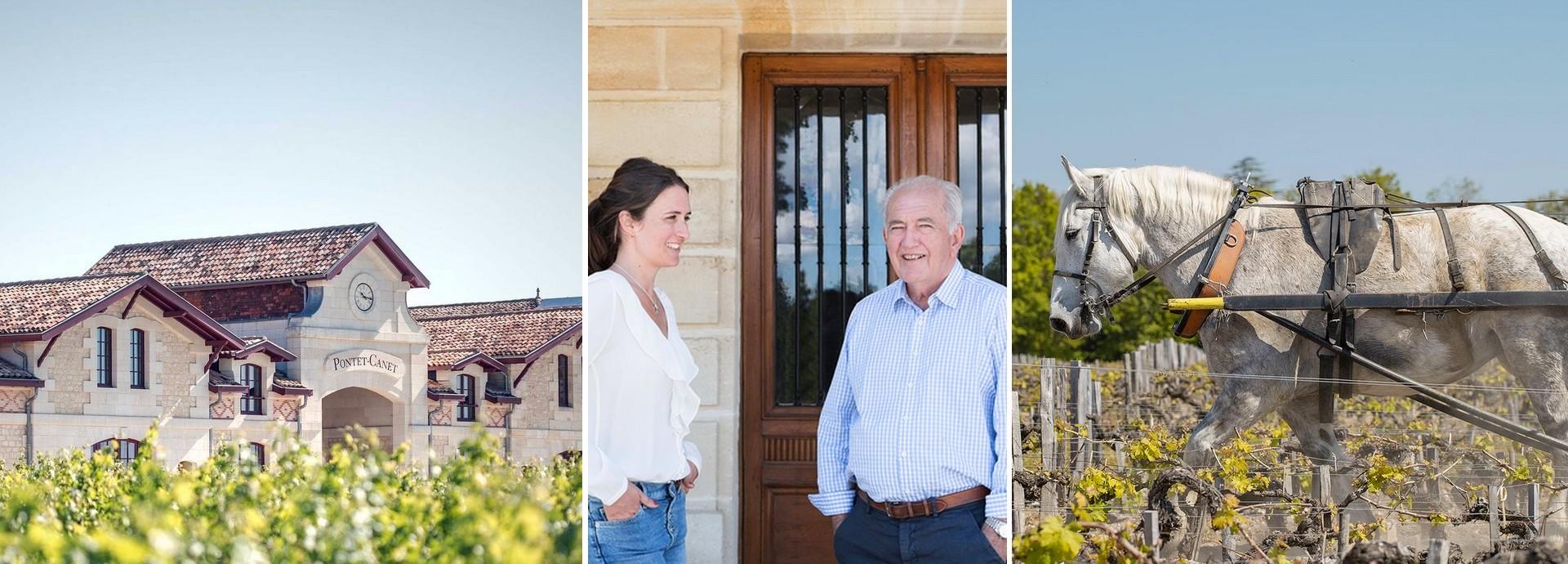 Weingut Pontet-Canet - Collage mit Gebäudefront, Personen und Weinfeld