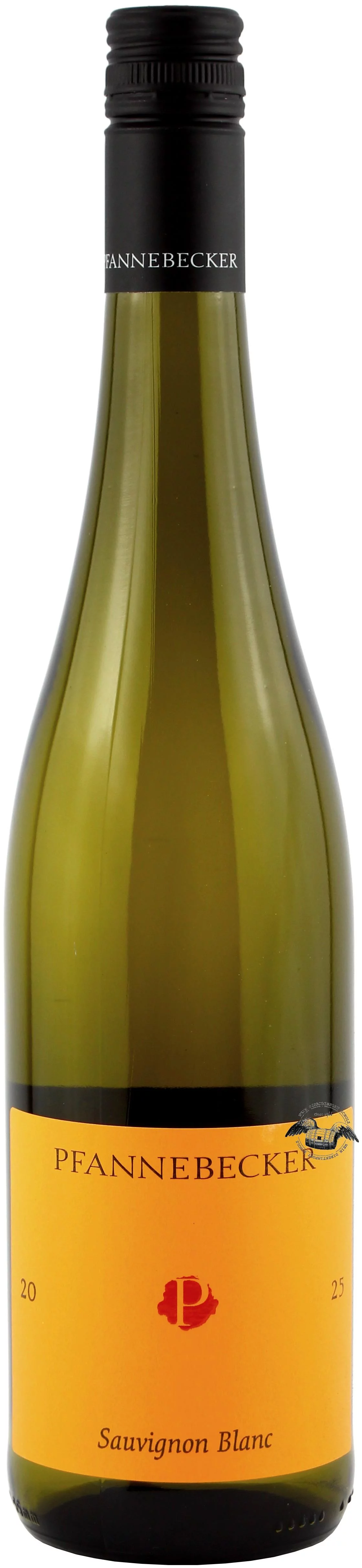 2025 Sauvignon Blanc trocken