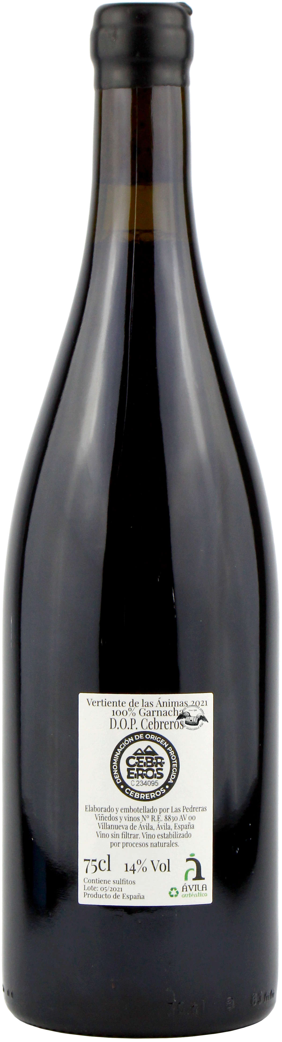 2021 Vertiente de las Animas