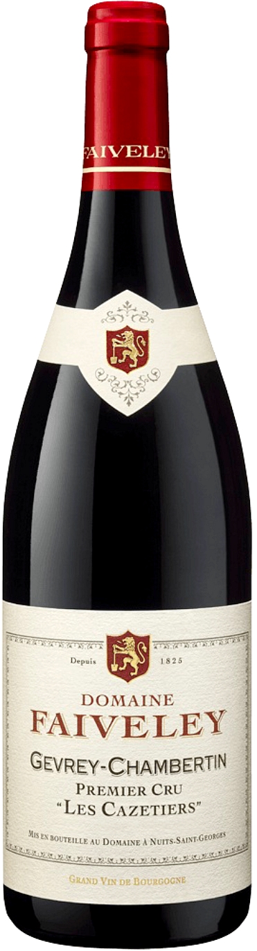 2020 Gevrey-Chambertin 1er Cru 'Les Cazetiers'