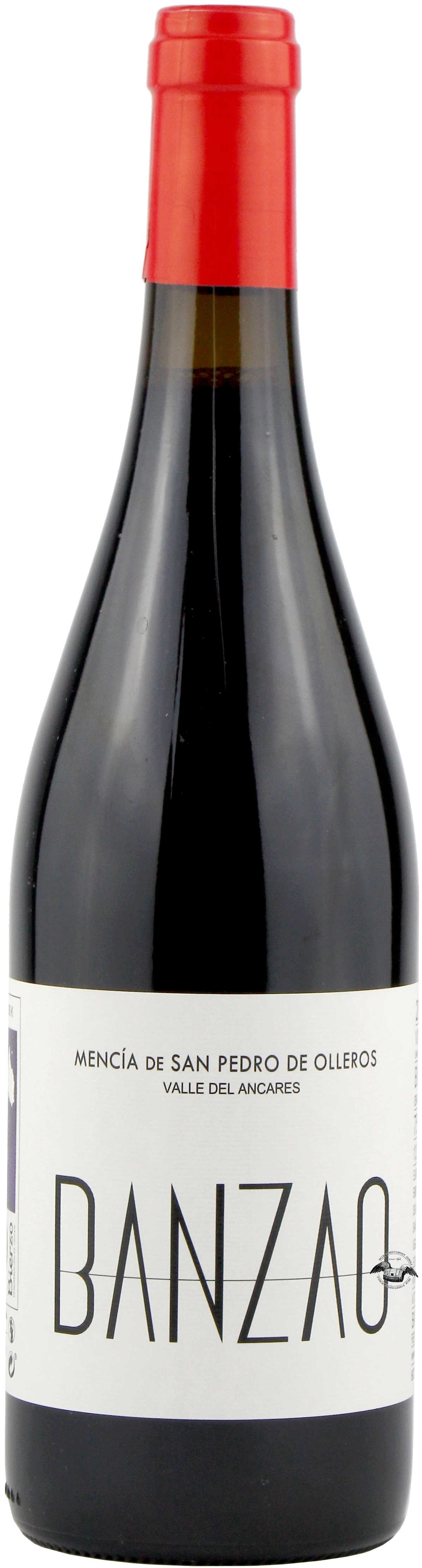 2020 Mencía Vino de Villa
