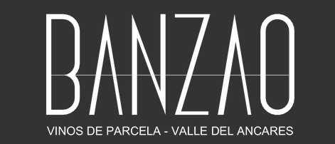 BANZAO Vinos de Parcela Label in Schwarz - Vorderansicht