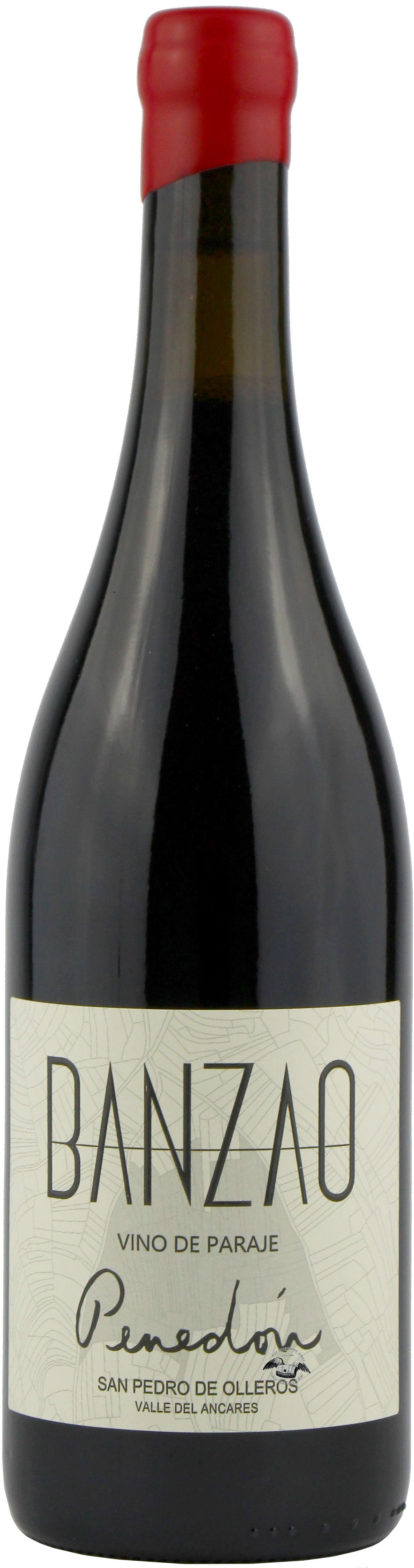 2021 Mencía Vino de Paraje 'Penedón'