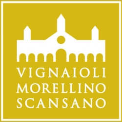 Vignaioli Morellino Scansano Logo in Gelb - Vorderansicht